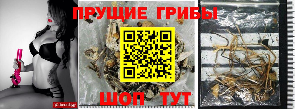 Тулун  Галлюциногенные грибы мицелий  Вход с VPN 